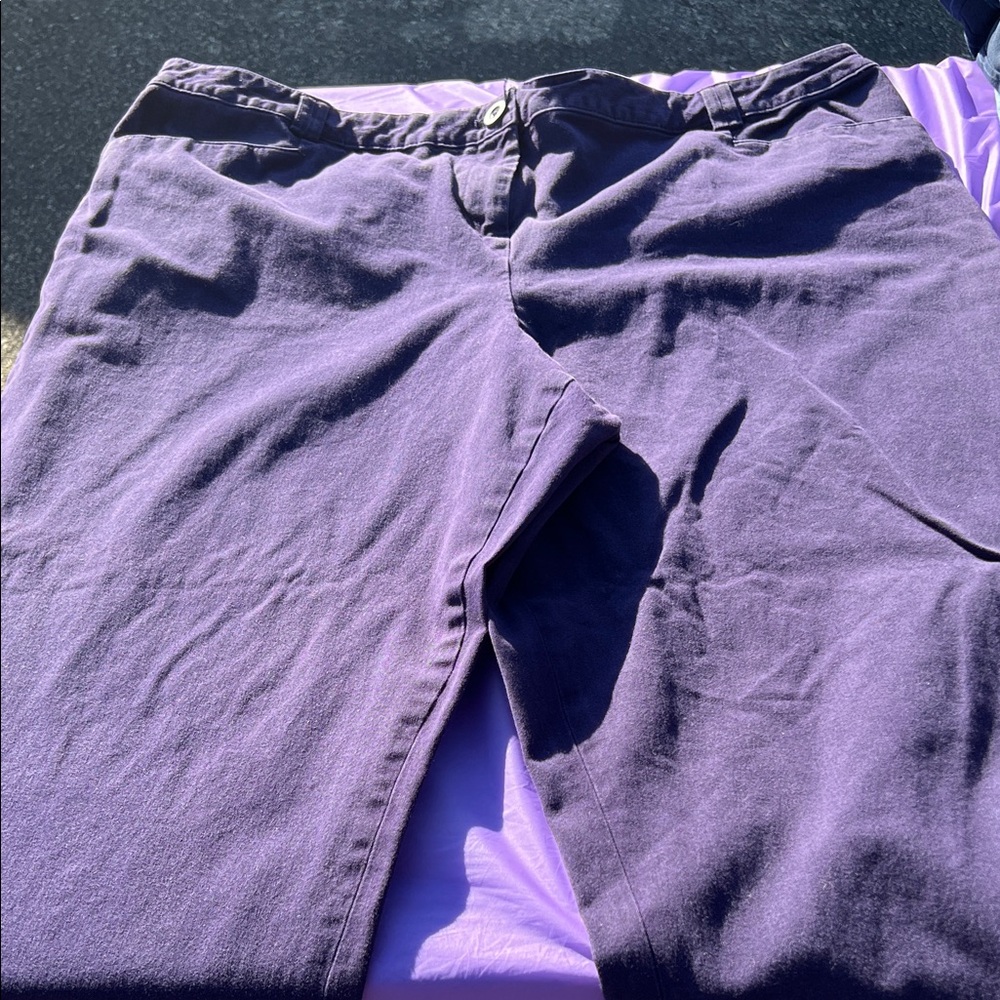 Lane Bryant Deep Purple Pants